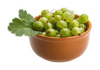 Gooseberry