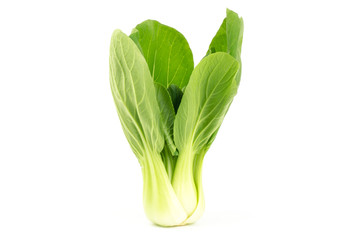 Bok choy (chinese cabbage)