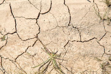 Dry soil