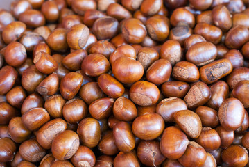 Chestnut close up shoot,background