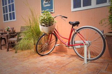 Fototapeta na wymiar bicycle with flowers
