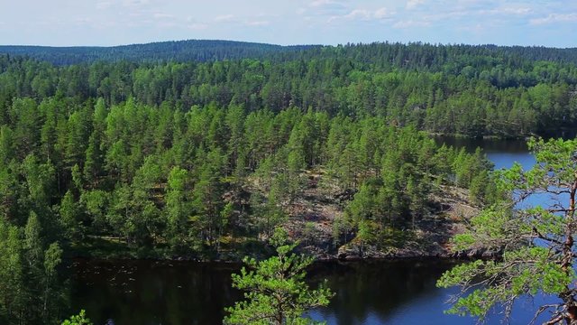 Repovesi national park view in Finland.