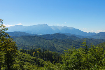 Fototapeta premium wierzchołek