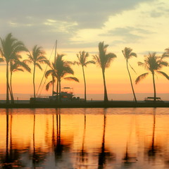 Tropical paradise beach sunset with palm trees