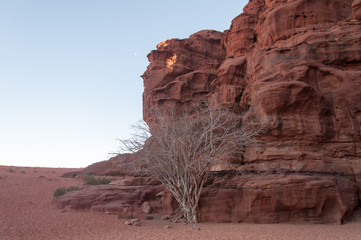 Wadi Rum Desert, Jordan