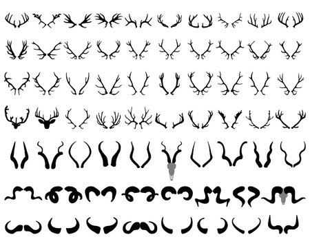 61,790 Antler Silhouette Images, Stock Photos, 3D objects, & Vectors