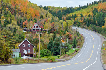 Autumn road