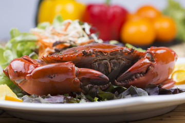 Fresh Steam red crab