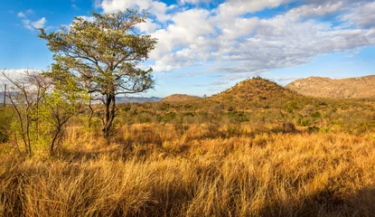 Rolgordijnen African Landscape © Maurizio De Mattei
