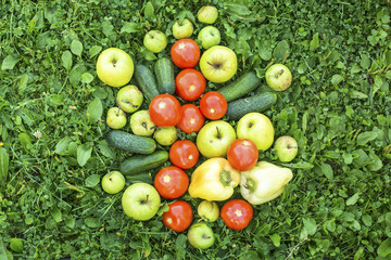 Fresh vegetables scattered on the grass.