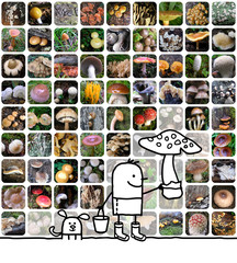 cartoon man & mushrooms collage