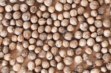 Closeup shot of dried coriander seeds on wodden cutting board