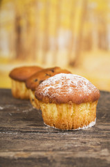 delicious homemade muffin cake dessert cupcake pastry