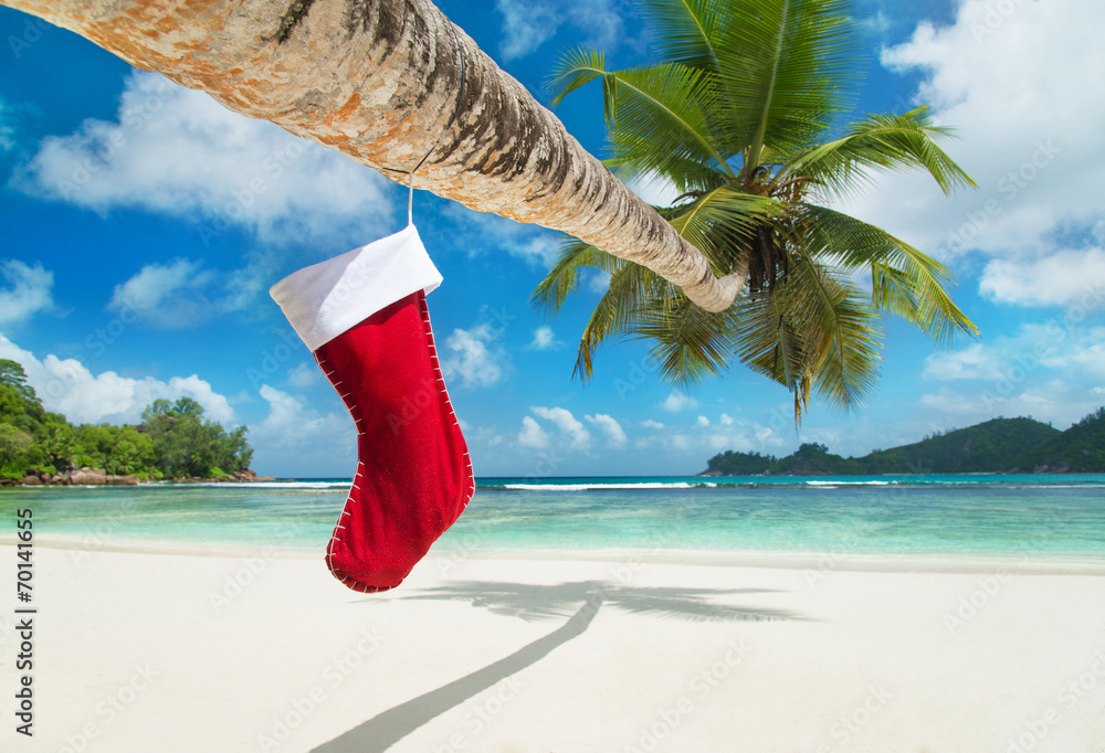 Wall mural Christmas sock on palm tree at exotic tropical beach