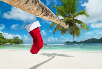 Christmas sock on palm tree at exotic tropical beach
