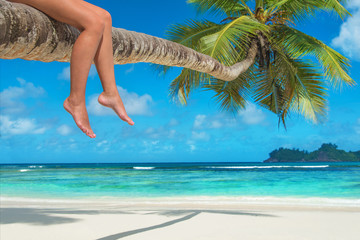 Woman's legs on a palm tree at tropical beach against ocean