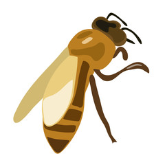 brown bee - vector