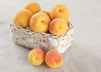 Apricots