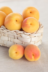 Apricots