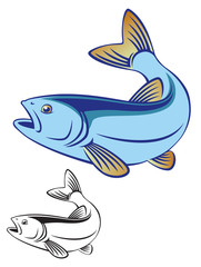 chub fish