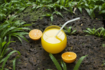 Fresh and colorful orange juice on stone in the park