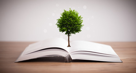 Tree growing from an open book