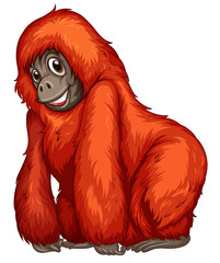 Orangutan © GraphicsRF
