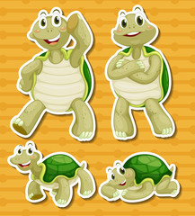 Obraz premium Turtle set
