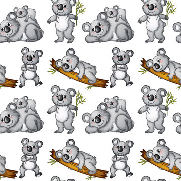 Seamless koala