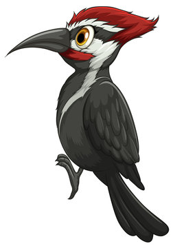 Aggregate 149+ sketch of woodpecker latest