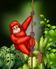 Monkey in jungle © GraphicsRF