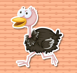 Ostrich