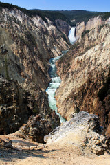 Yellowstone - Grand Canyon / Lower Falls 