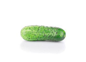 Fresh green cucumber.