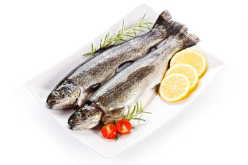 Fresh raw trout on white background