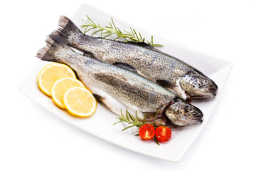 Fresh raw trout on white background