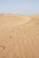 Tengger desert scenery,Inner Mongolia, China