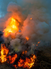 Fototapeta na wymiar Big fire in the village