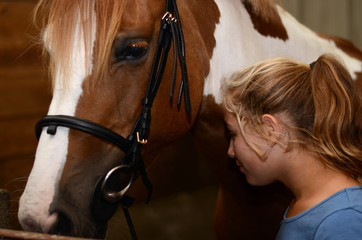 préparation du cheval