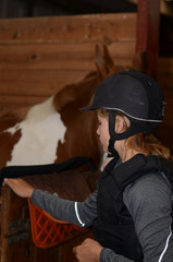 cheval en box