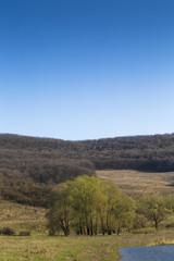 Beautiful landscape.