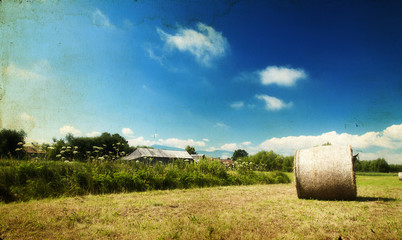 Hay-roll on field after harvest