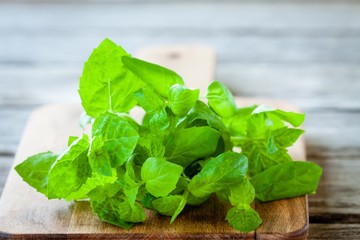 bunch of fresh mint