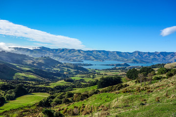 Fototapeta premium New Zealand 25