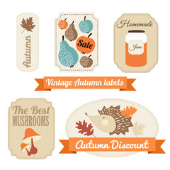 Set of vintage autumn fall labels, tags, stickers, vector