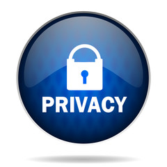 privacy internet blue icon
