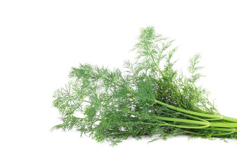 Fresh dill herb.