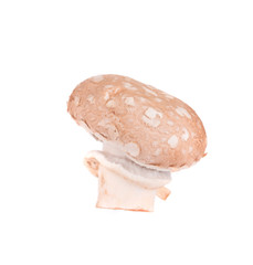 Champignon mushroom.
