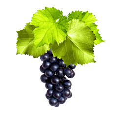 Trauben mit Blättern auf weissem Hintergrund