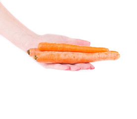 Women's hand holds fresh carrot.